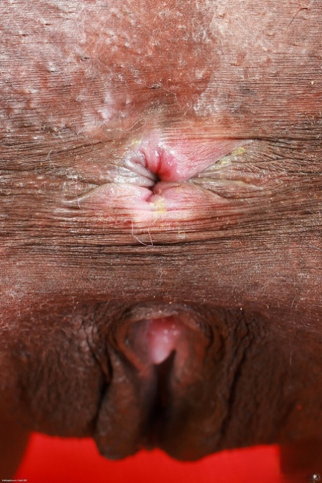 ATK Exotics mit Fae Love XXX Bilder